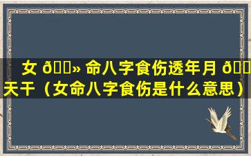 女 🌻 命八字食伤透年月 🕷 天干（女命八字食伤是什么意思）